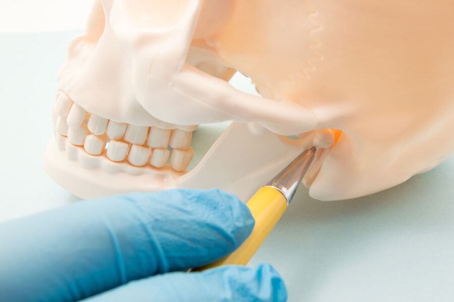 A dentist points to the TMJ (temporomandibular joint) with a gloved hand